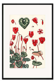 Gerahmter Kunstdruck Cyclamen