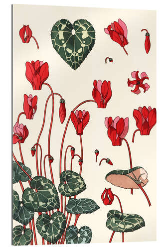 Gallery print Cyclamen