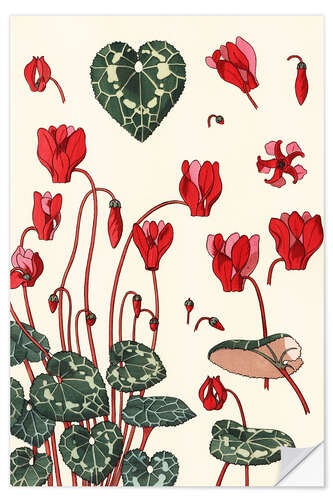 Autocolante decorativo Cyclamen