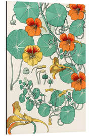 Aluminium print Nasturtium I