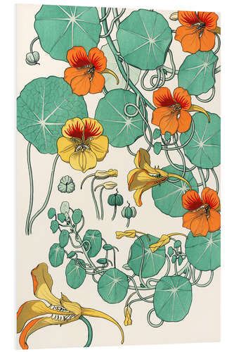 Foam board print Nasturtium I