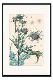 Gerahmter Kunstdruck Distel