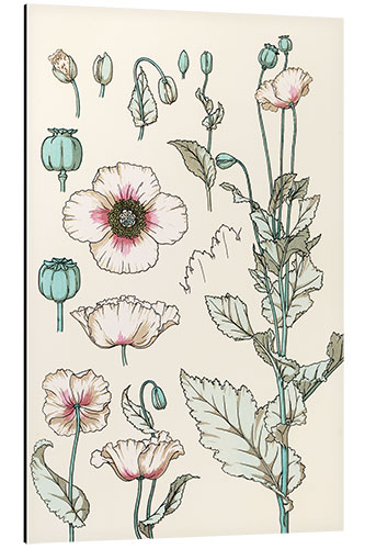 Alumiinitaulu Papaver I