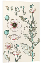 Foam board print Papaver I