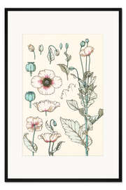 Gerahmter Kunstdruck Mohn I