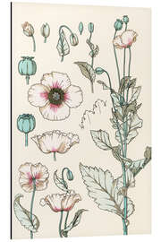 Magnettafel Mohn I
