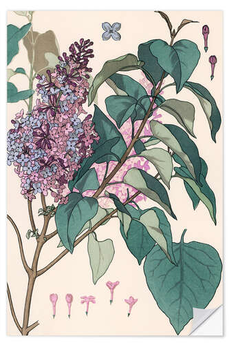 Muursticker Lilac