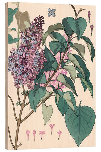 Stampa su legno Lilac