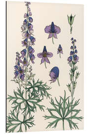 Magnettafel Mönchskappe II