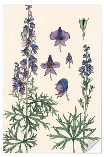 Wall sticker Autumn crocus II
