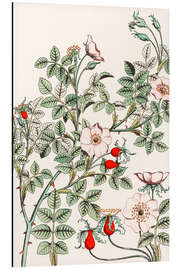 Magnettafel Wildrose I