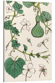 Magnettafel Flaschenkürbis I