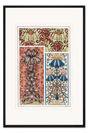 Gerahmter Kunstdruck Kaiserliche Kronenblume, Fritillaria imperialis