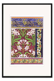 Gerahmter Kunstdruck Narcissus jonquilla