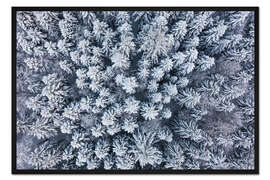 Gerahmter Kunstdruck Winter im Schwarzwald