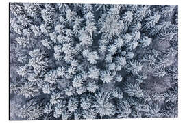 Magnettafel Winter im Schwarzwald
