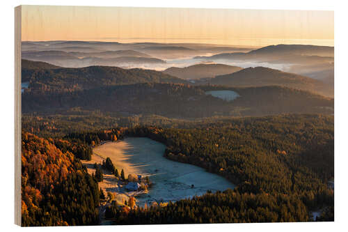 Puutaulu View from the Feldberg over the Black Forest