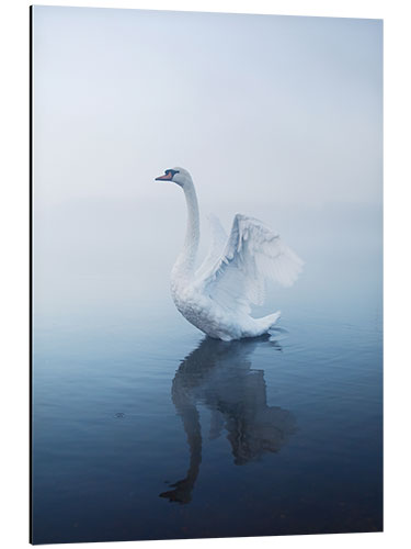 Tableau en aluminium Angel Swan Lake