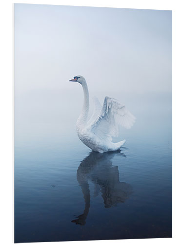 PVC print Angel Swan Lake