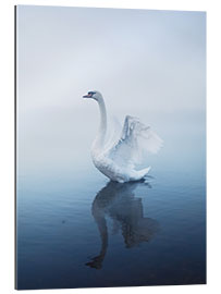 Gallery print Angel Swan Lake