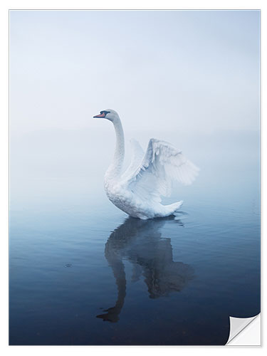 Vinilo para la pared Angel Swan Lake