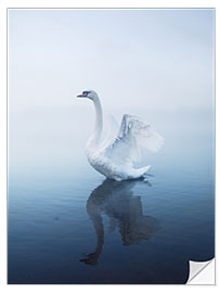 Naklejka na ścianę Angel Swan Lake