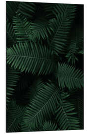 Tableau en aluminium Ferns Field