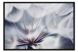 Gerahmter Kunstdruck Pusteblume