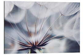 Magnettafel Pusteblume