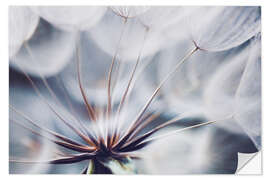 Vinilo para la pared Dandelion