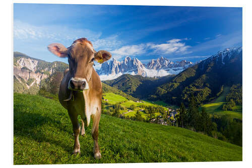 Foam board print Cow paradise in South Tyrol, Dolomites