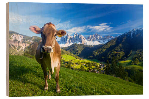 Quadro de madeira Cow paradise in South Tyrol, Dolomites