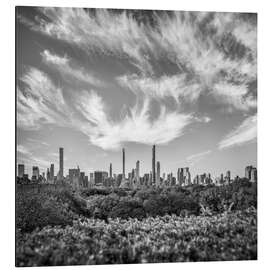 Print på aluminium Central Park Skyline