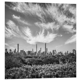 Stampa su PVC Central Park Skyline