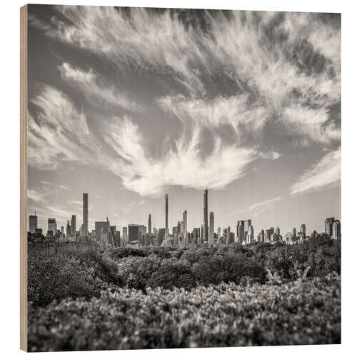 Wood print Central Park Skyline