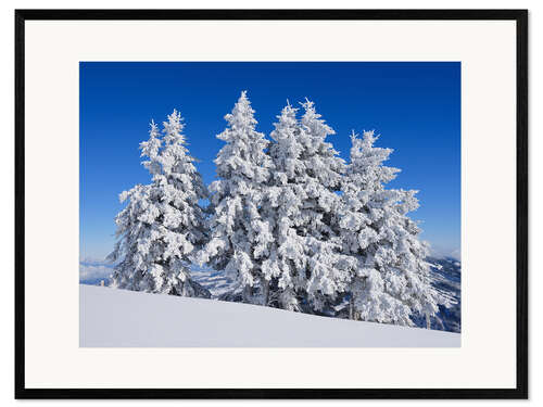 Framed art print Frozen trees after fresh snow, Switzerland