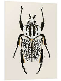 Foam board print Black and white Beetle