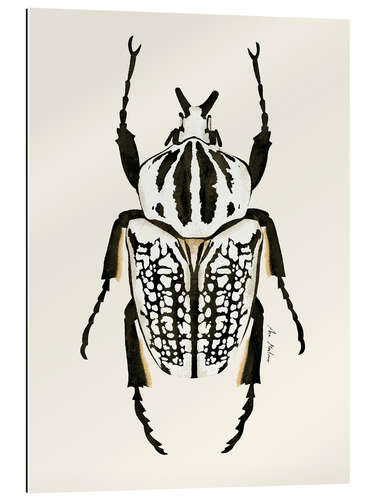 Gallery print Black and white Beetle