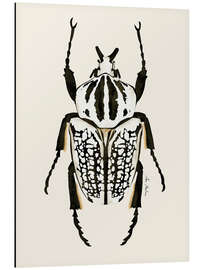 Magnettafel Schwarz-weißer Käfer