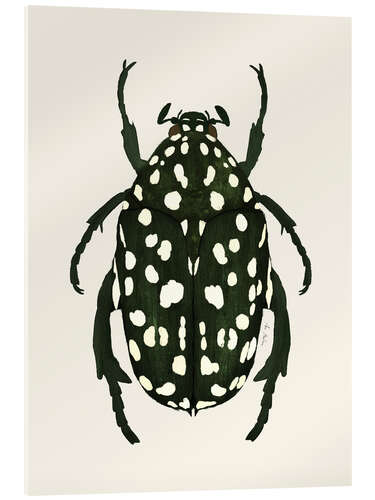 Acrylic print Green beetle