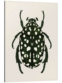 Cuadro de aluminio Green beetle