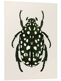 Foam board print Green beetle