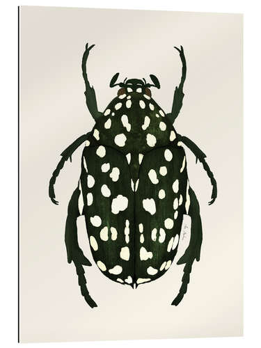 Gallery print Green beetle