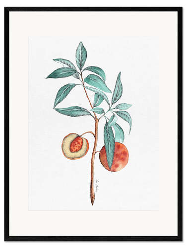 Framed art print Peach tree
