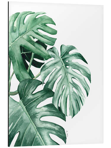 Aluminium print Monstera leaves