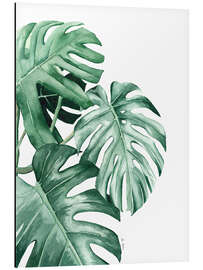 Stampa su alluminio Monstera leaves