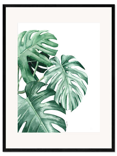 Ingelijste kunstdruk Monstera leaves