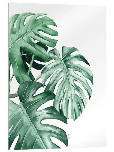 Galleritryk Monstera leaves