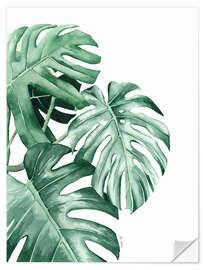 Wall sticker Monstera leaves