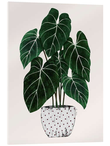 Acrylic print Philodendron plant